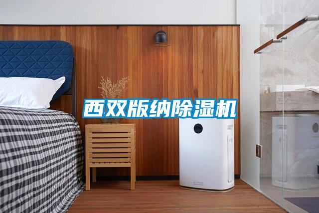 西双版纳除湿机