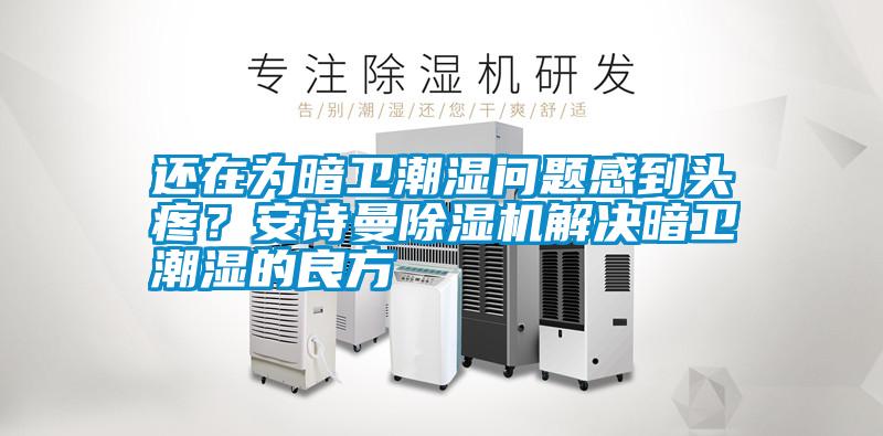 还在为暗卫潮湿问题感到头疼？安诗曼除湿机解决暗卫潮湿的良方