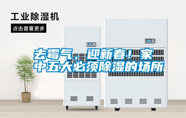去霉气，迎新春！家中五大必须除湿的场所