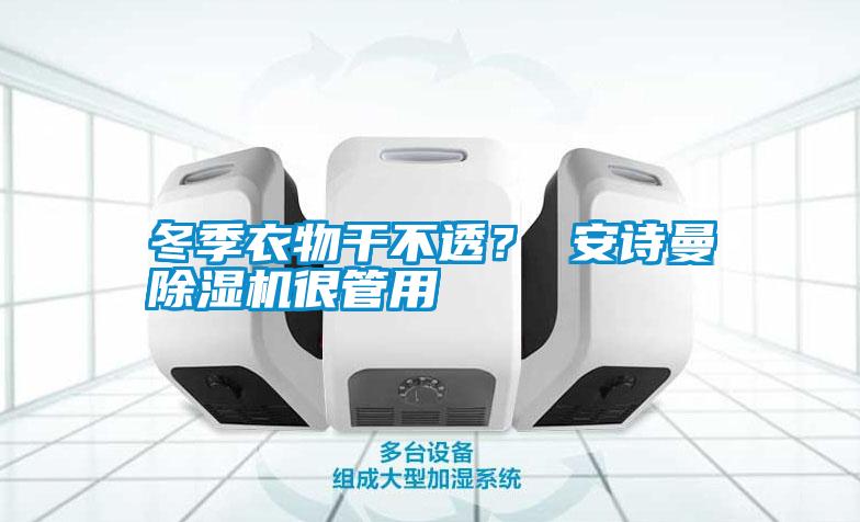 冬季衣物干不透？ 安诗曼除湿机很管用