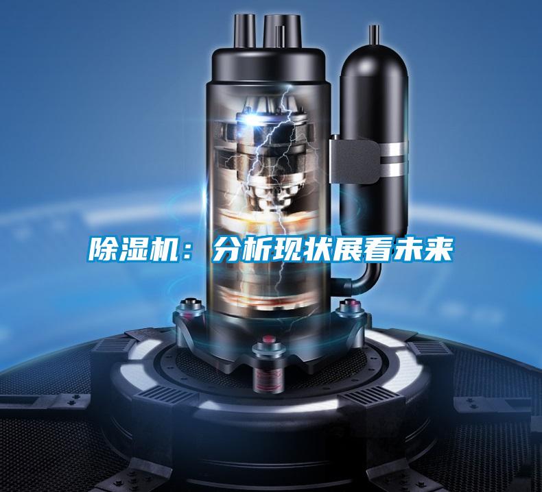 除湿机：分析现状展看未来