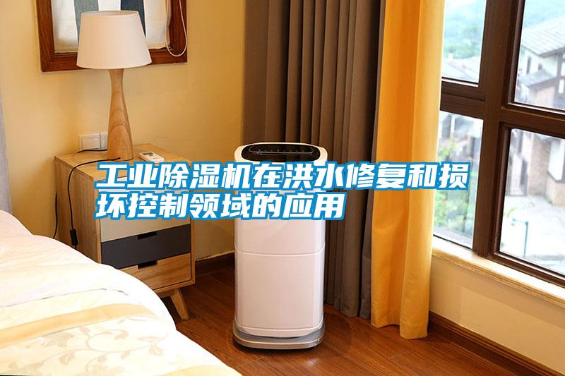 工业除湿机在洪水修复和损坏控制领域的应用