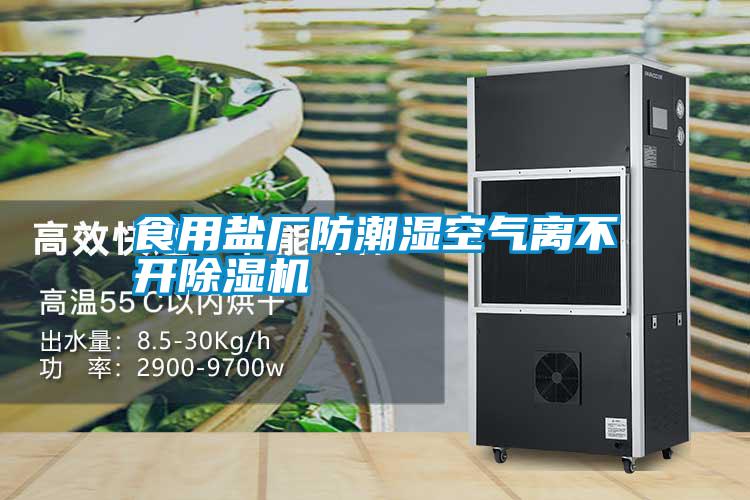 食用盐厂防潮湿空气离不开除湿机