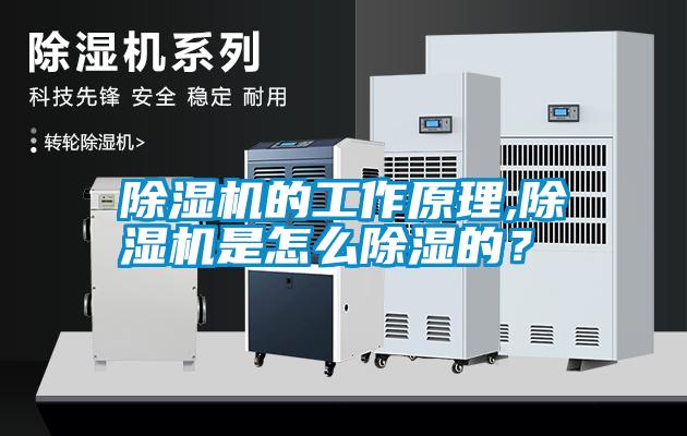 除湿机的工作原理,除湿机是怎么除湿的？