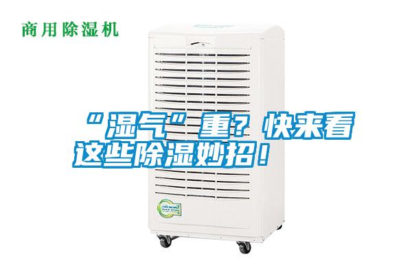 “湿气”重？快来看这些除湿妙招！