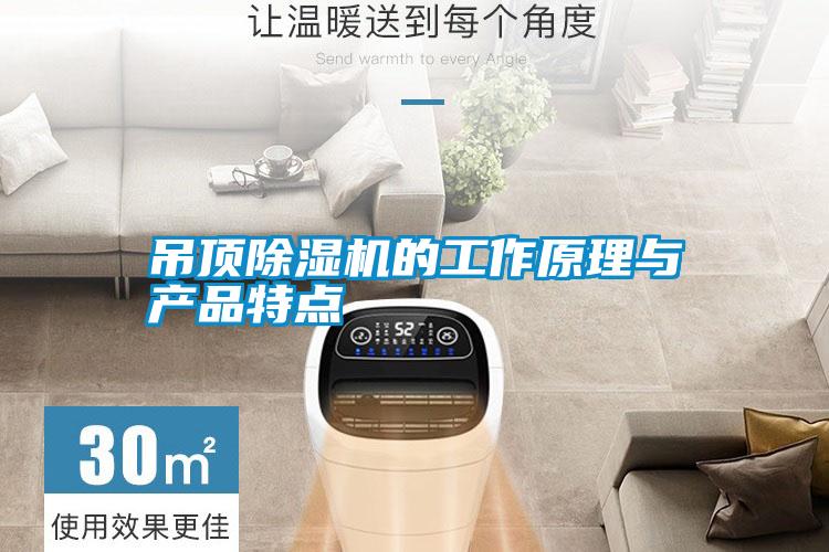 吊顶除湿机的工作原理与产品特点