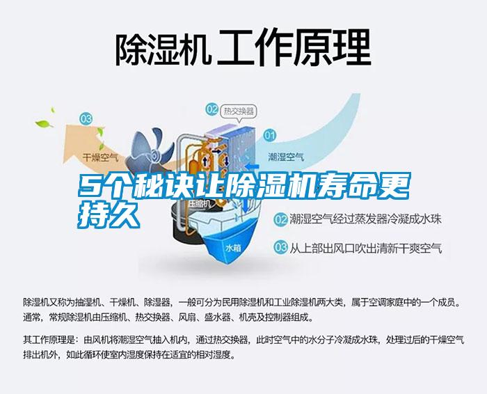 5个秘诀让除湿机寿命更持久