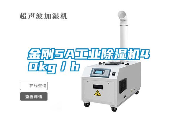 金刚5A工业除湿机40kg／h
