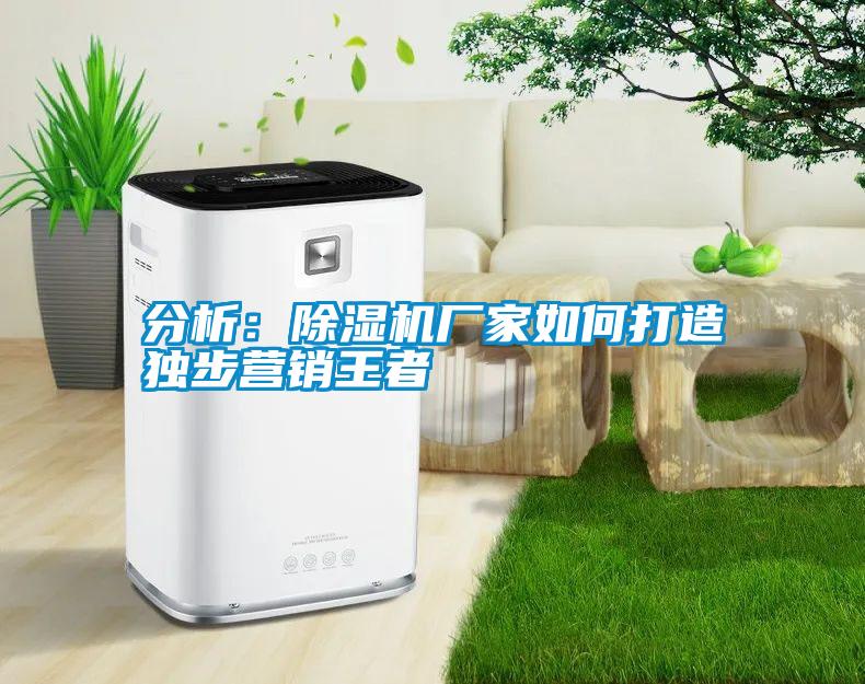 分析：除湿机厂家如何打造独步营销王者