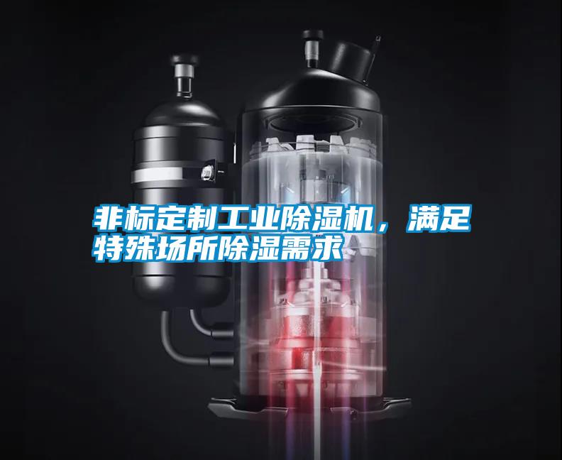 非标定制工业除湿机，满足特殊场所除湿需求