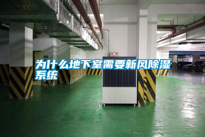 为什么地下室需要新风除湿系统