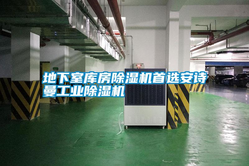 地下室库房除湿机首选安诗曼工业除湿机
