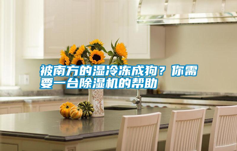 被南方的湿冷冻成狗？你需要一台除湿机的帮助