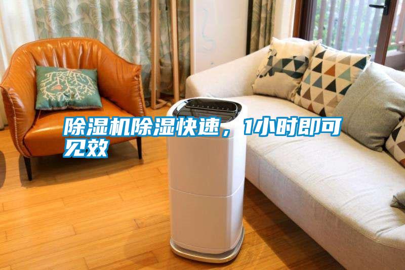除湿机除湿快速，1小时即可见效