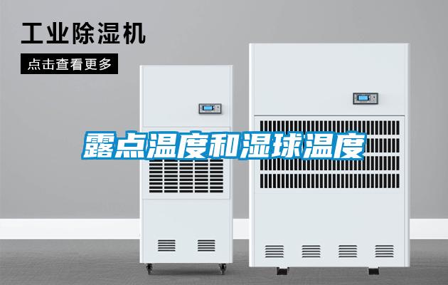 露点温度和湿球温度