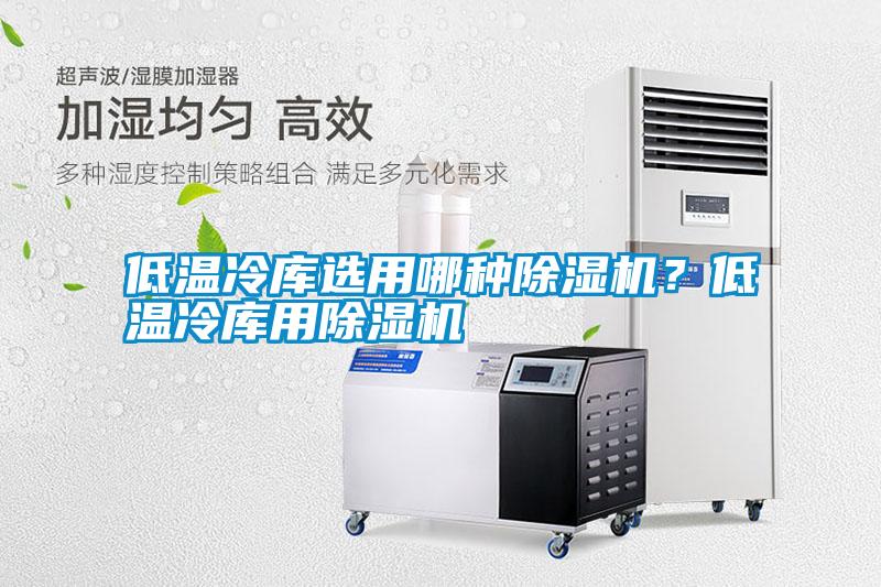 低温冷库选用哪种除湿机？低温冷库用除湿机