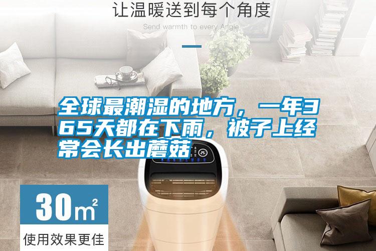 全球最潮湿的地方，一年365天都在下雨，被子上经常会长出蘑菇