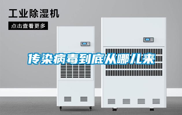 传染病毒到底从哪儿来