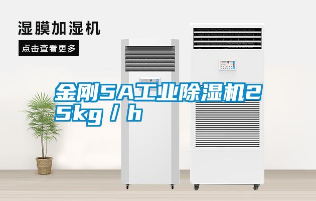 金刚5A工业除湿机25kg／h