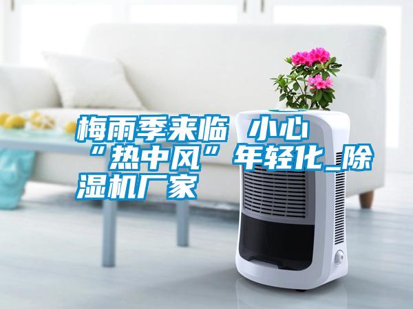 梅雨季来临 小心“热中风”年轻化_除湿机厂家