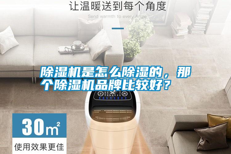 除湿机是怎么除湿的,那个除湿机品牌比较好?