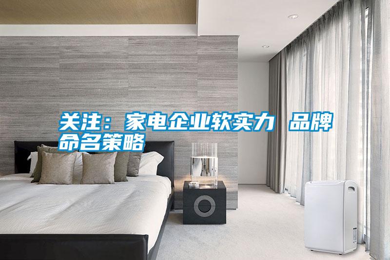 关注：家电企业软实力 品牌命名策略