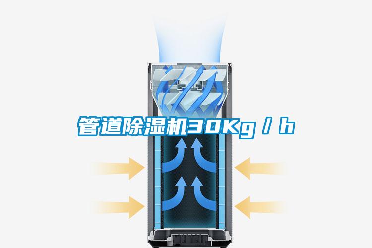 管道除湿机30Kg／h