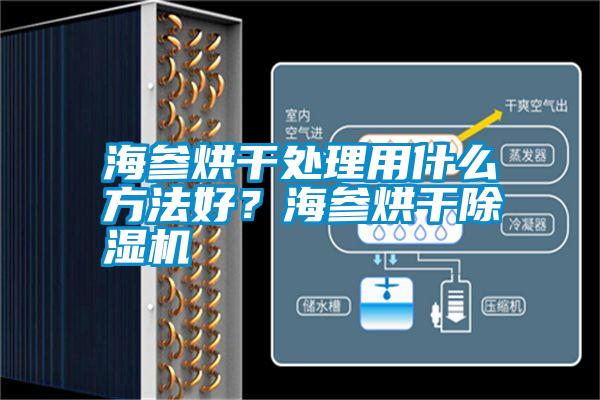 海参烘干处理用什么方法好？海参烘干除湿机