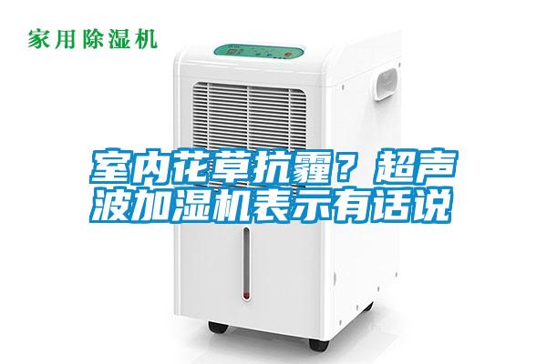 室内花草抗霾？超声波加湿机表示有话说