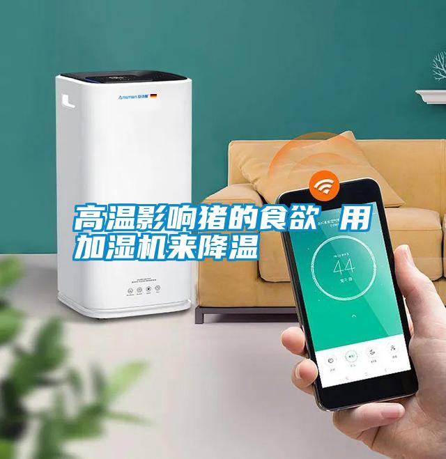 高温影响猪的食欲 用加湿机来降温