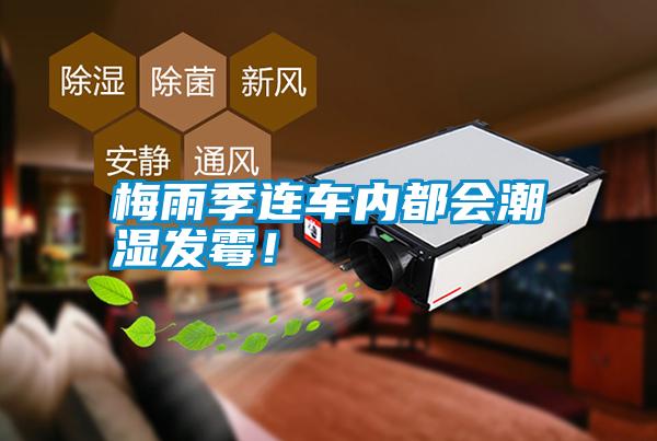 梅雨季连车内都会潮湿发霉！