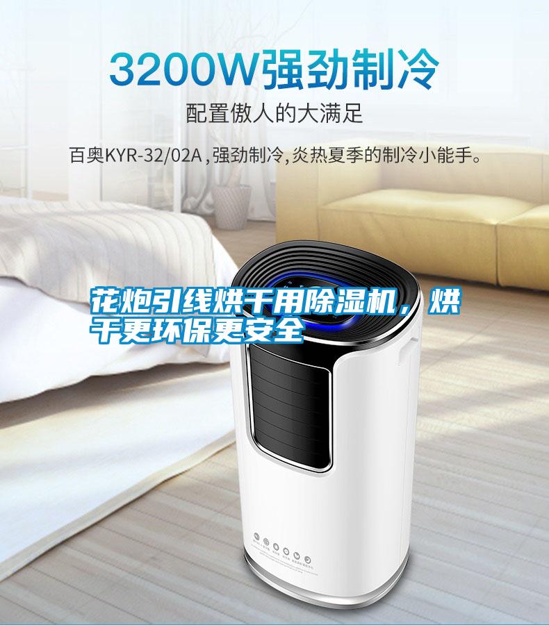 花炮引线烘干用除湿机，烘干更环保更安全