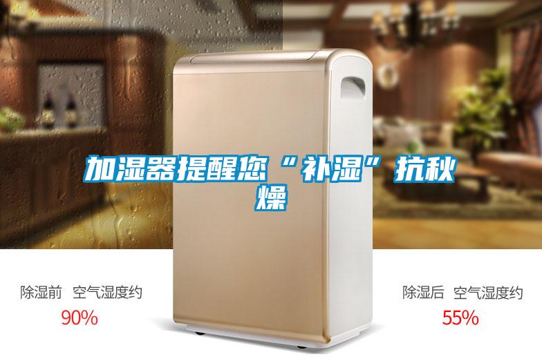 加湿器提醒您“补湿”抗秋燥