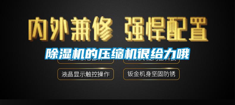 除湿机的压缩机很给力哦