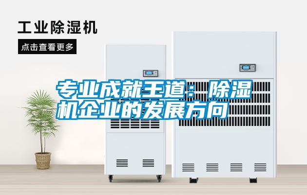 专业成就王道：除湿机企业的发展方向