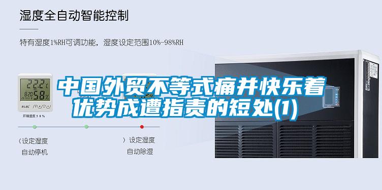 中国外贸不等式痛并快乐着 优势成遭指责的短处(1)