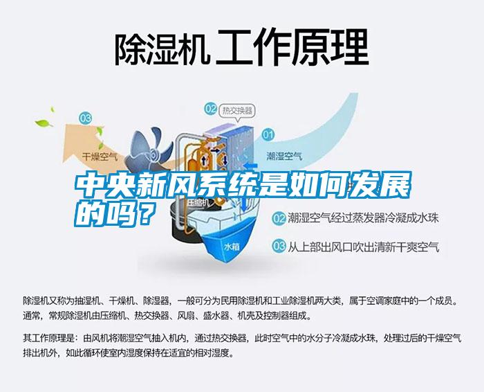 中央新风系统是如何发展的吗？