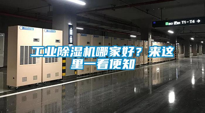 工业除湿机哪家好？来这里一看便知