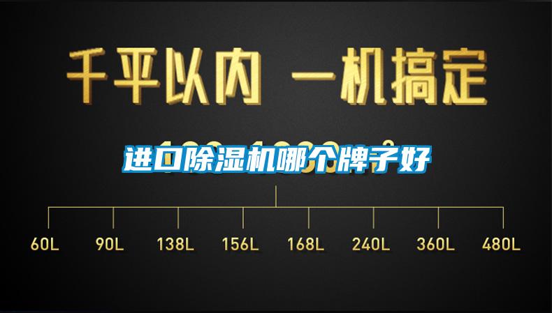进口除湿机哪个牌子好