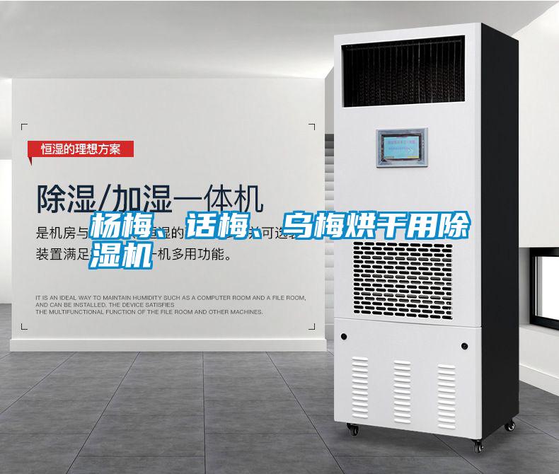 杨梅、话梅、乌梅烘干用除湿机