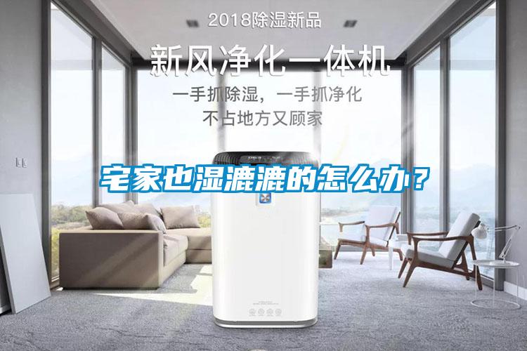 宅家也湿漉漉的怎么办？