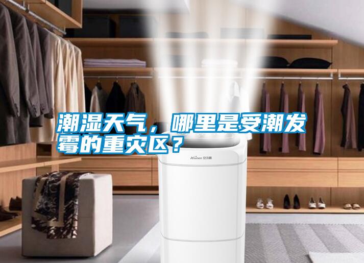 潮湿天气，哪里是受潮发霉的重灾区？
