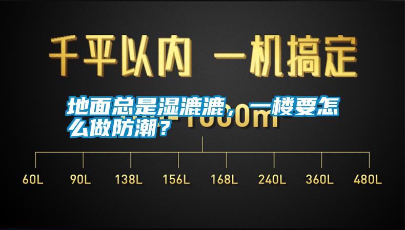 地面总是湿漉漉，一楼要怎么做防潮？