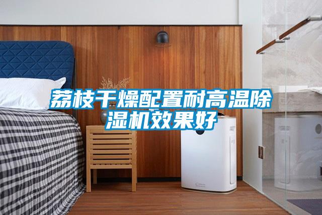 荔枝干燥配置耐高温除湿机效果好