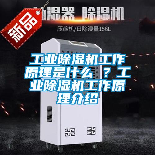 工业除湿机工作原理是什么 ？工业除湿机工作原理介绍