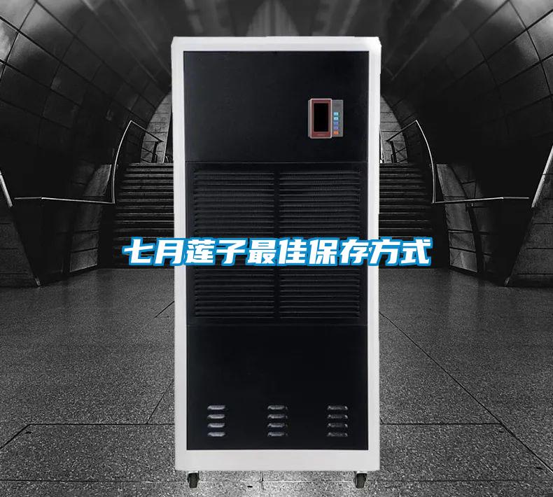 七月莲子最佳保存方式