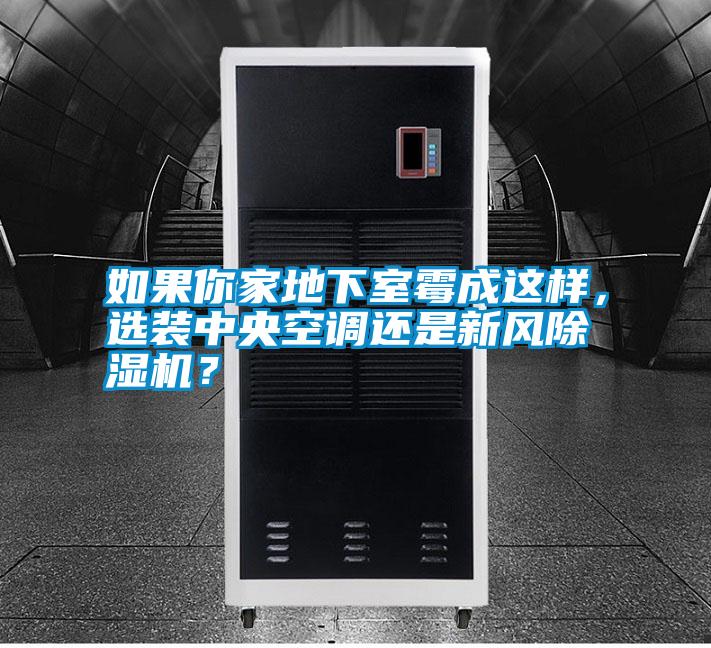 如果你家地下室霉成这样，选装中央空调还是新风除湿机？