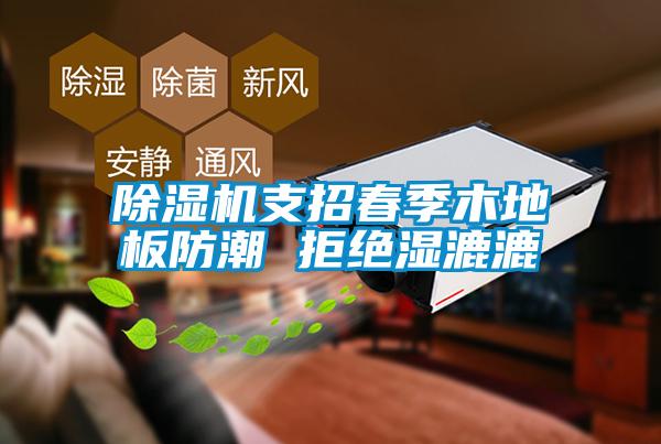 除湿机支招春季木地板防潮 拒绝湿漉漉