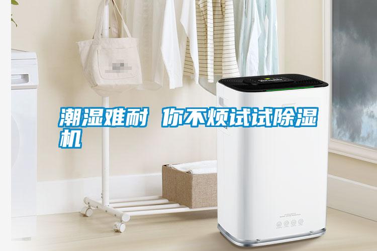 潮湿难耐 你不烦试试除湿机
