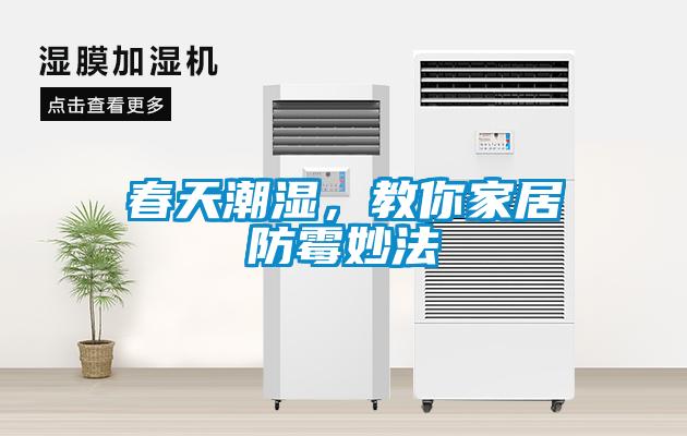 春天潮湿，教你家居防霉妙法